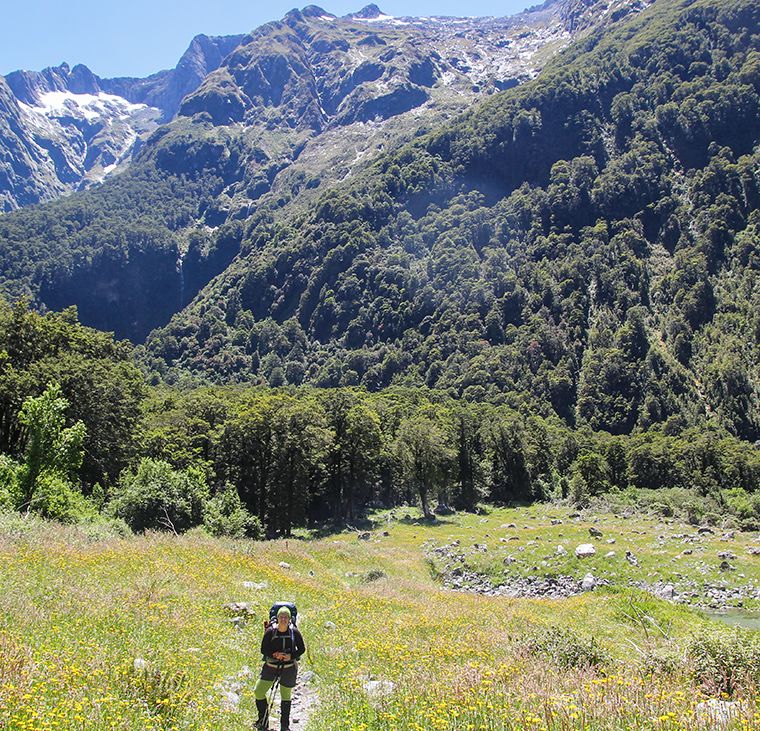 Walk the Milford Track to the Fiordland National Park